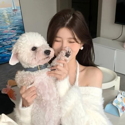 喀布尔的燕子